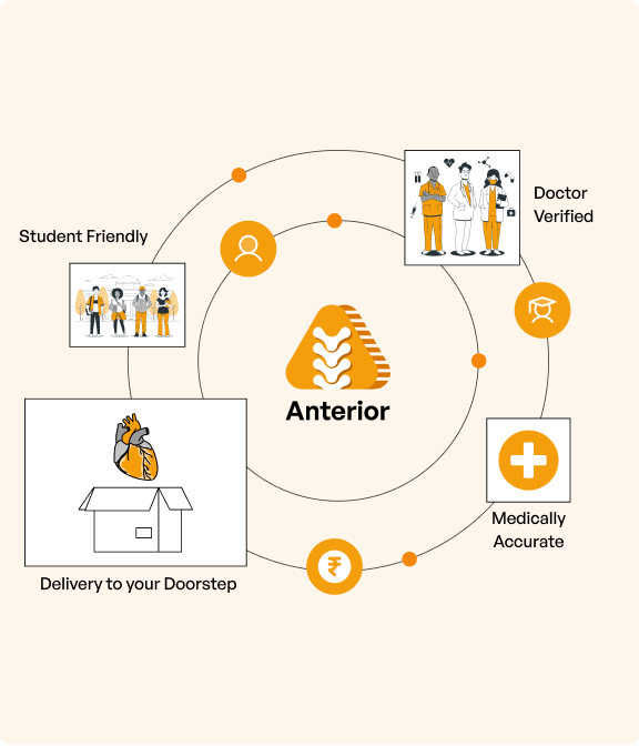 Anterior feature