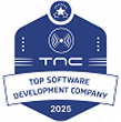 Top-Software-Development-2025-300x300-1